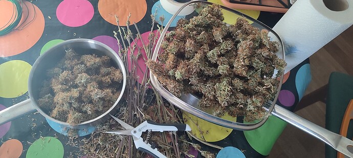 Growreport Bild 13