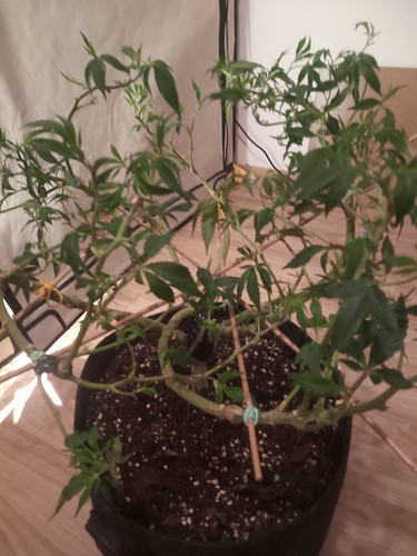 IMG_20210314_233453_016