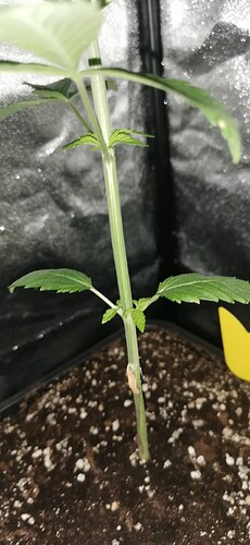 Growreport Bild 16