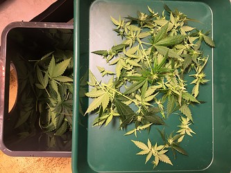 Growreport Bild 12