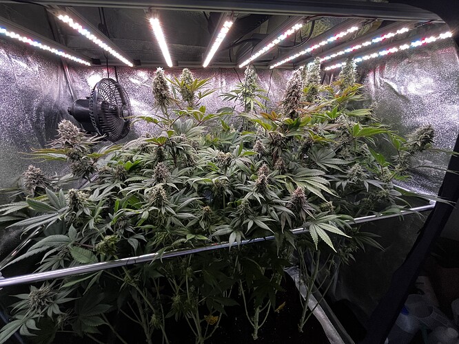 Growreport Bild 1
