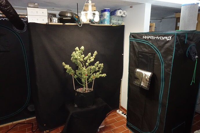Growreport Bild 1