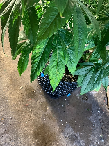Growreport Bild 13