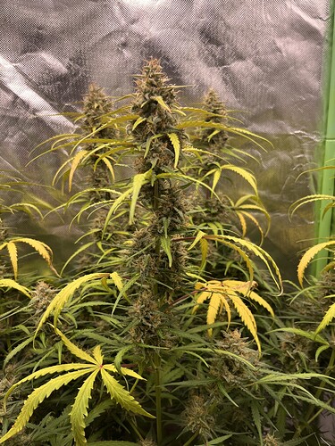 Growreport Bild 17