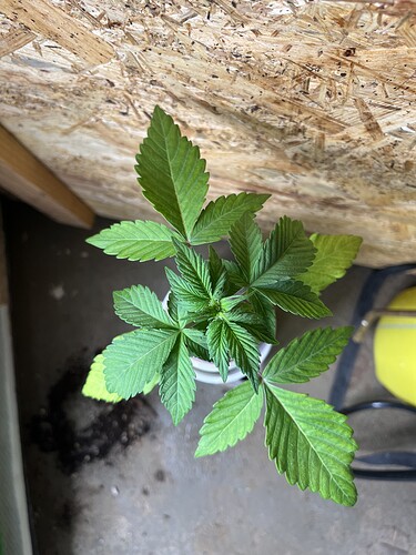 Growreport Bild 21
