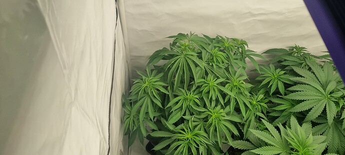 Growreport Bild 14