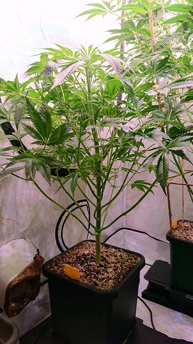 Growreport Bild 5