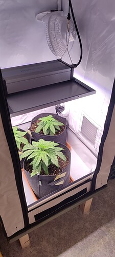 Growreport Bild 13