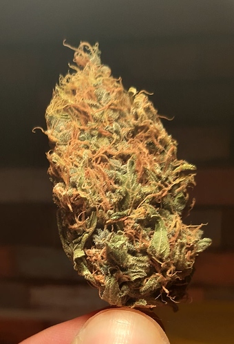 Growreport Bild 17