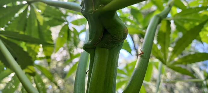Growreport Bild 2
