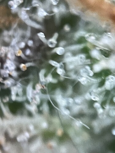 Growreport Bild 21