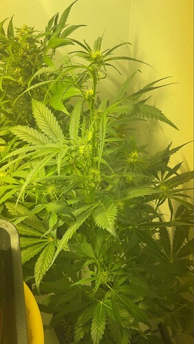 Growreport Bild 24