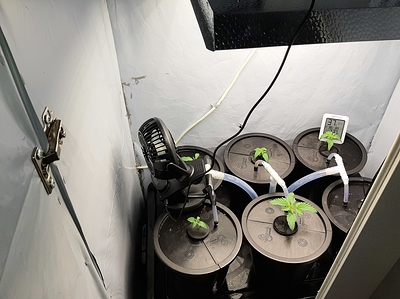 Growreport Bild 3
