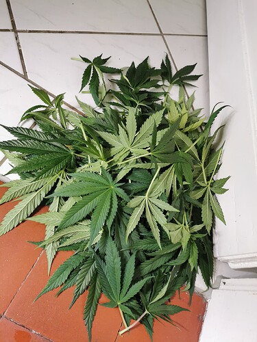 Growreport Bild 3