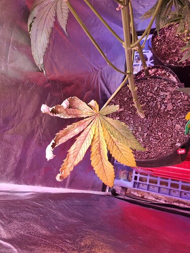 Growreport Bild 19