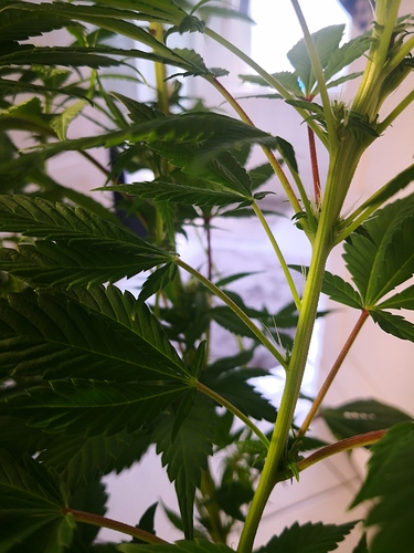 Growreport Bild 18