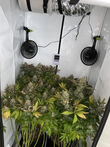 Growreport Bild 8