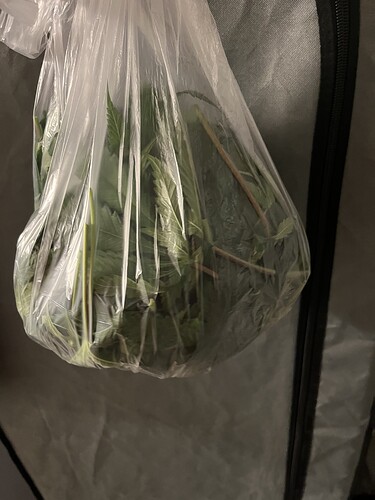 Growreport Bild 1