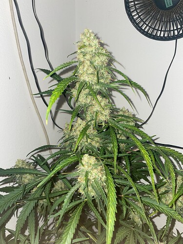 Growreport Bild 11
