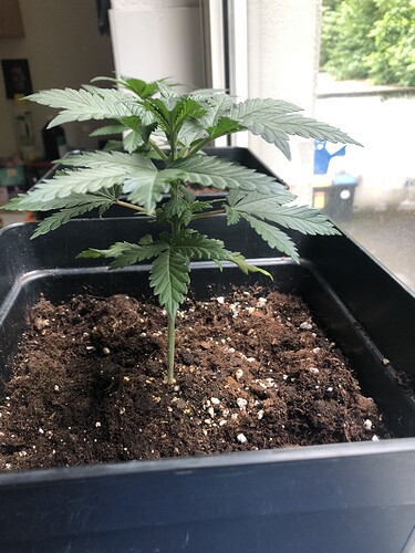 Growreport Bild 5