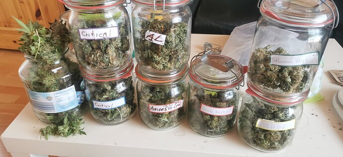 Growreport Bild 7