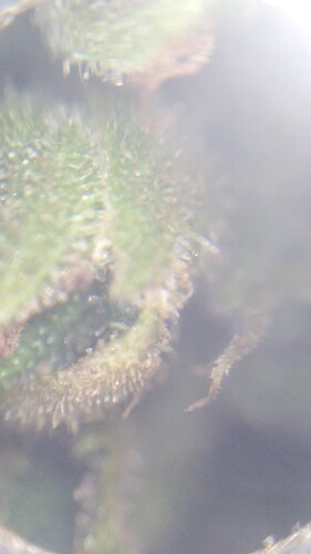 IMG_20230704_014118