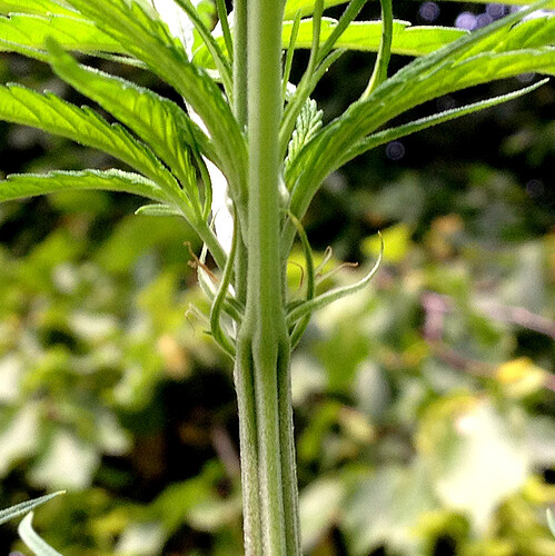 Growreport Bild 14