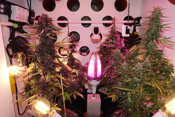 Growreport Bild 7