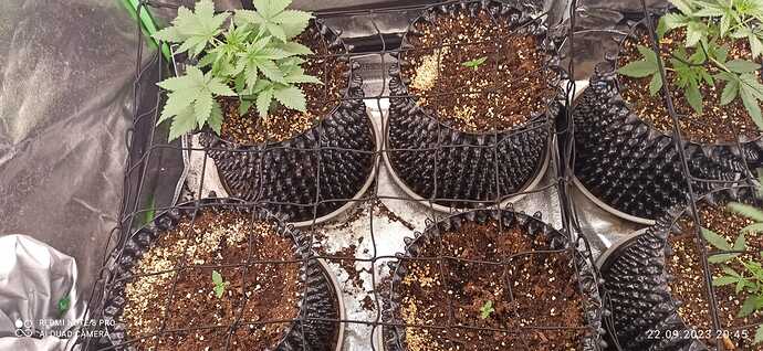 IMG-20230922-WA0020