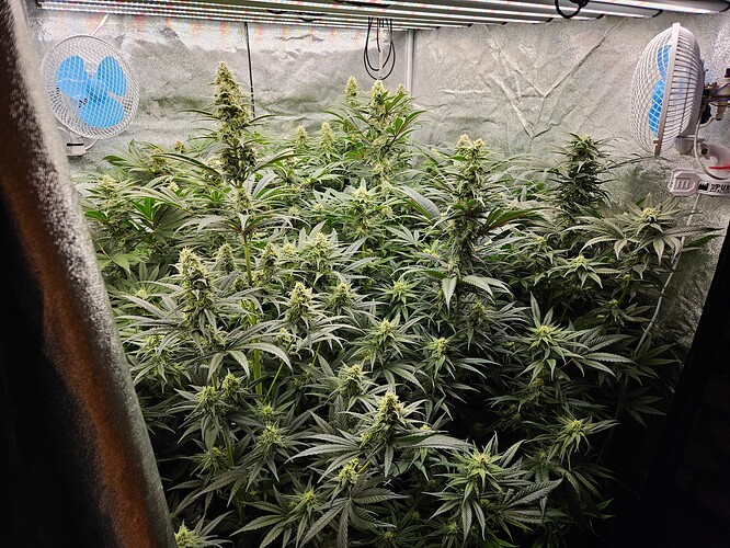Growreport Bild 34