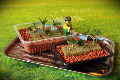 Growreport Bild 10