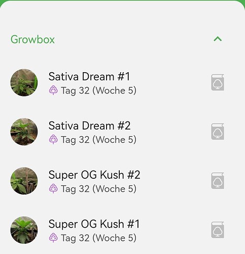 Growreport Bild 12