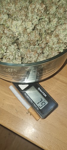 Growreport Bild 10