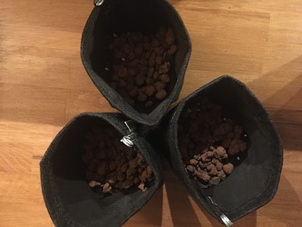 Growreport Bild 8