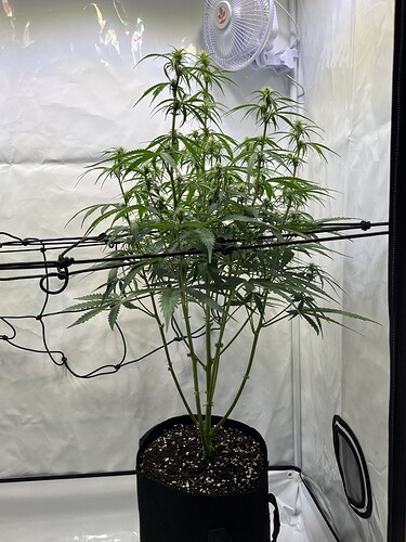 Growreport Bild 24