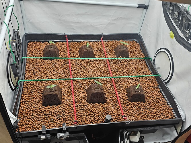 Growreport Bild 8