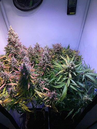 Growreport Bild 7