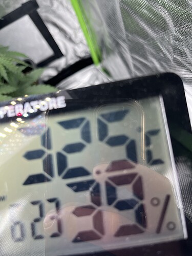 Growreport Bild 8
