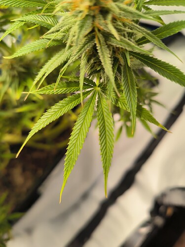 Growreport Bild 13