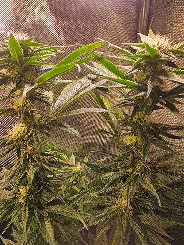 Growreport Bild 16