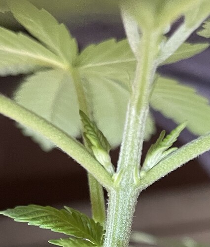 Growreport Bild 24