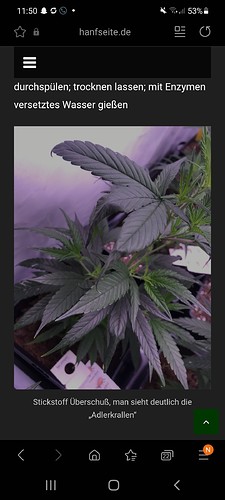 Growreport Bild 4