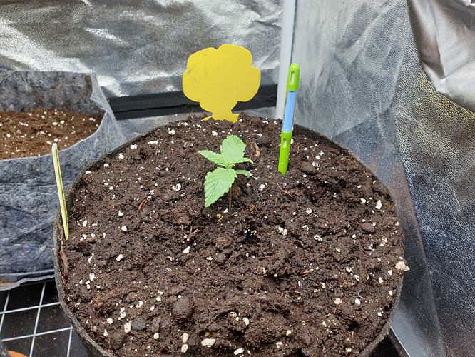 Growreport Bild 9