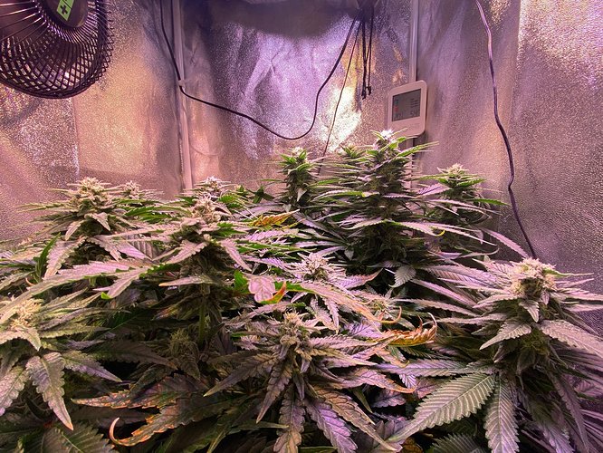 Growreport Bild 9