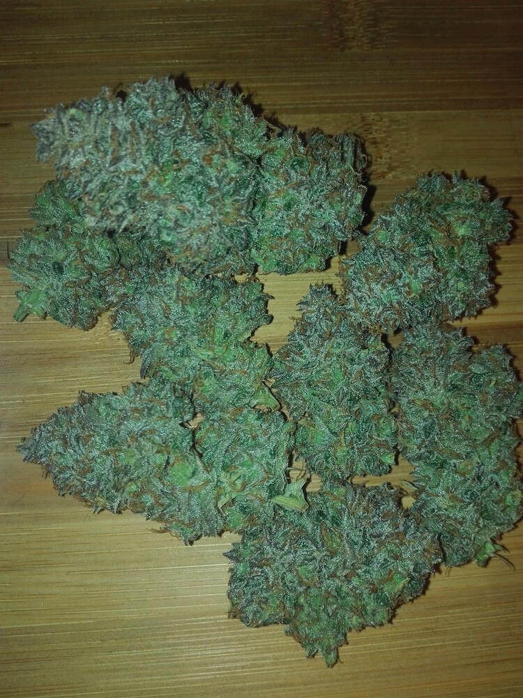 Autorennen "Indica500"