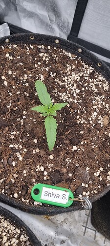 Growreport Bild 14