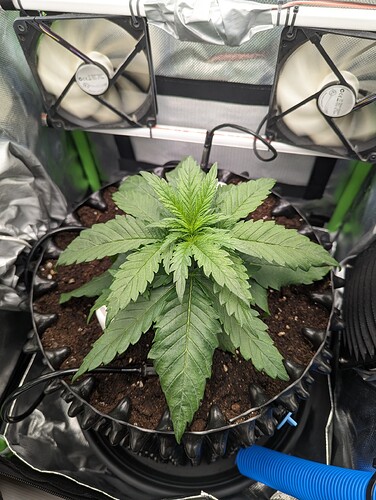 Growreport Bild 7