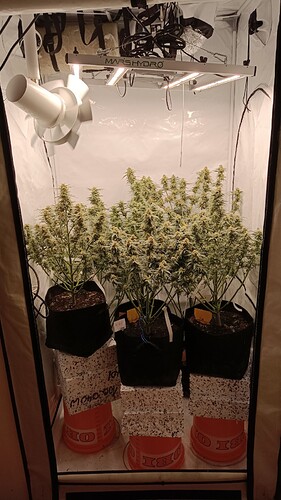 Growreport Bild 6