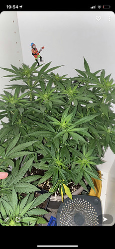 Growreport Bild 1