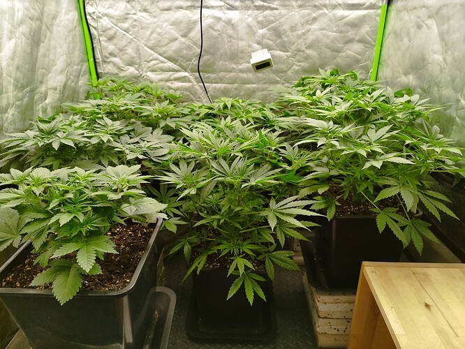 Growreport Bild 12